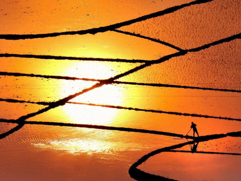 Splendid Light - Set out to work at Sunrise